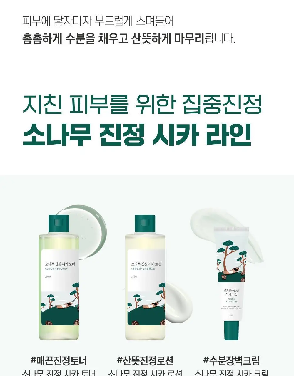 [민감진정] 라운드랩 소나무 진정 시카 로션 250ml 상세페이지 17